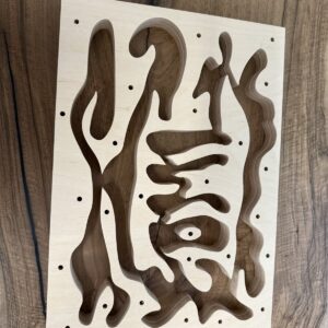 Formikarium dla mrówek