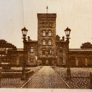 Widok - laser